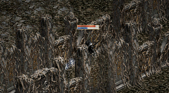 b0052295_2584698.gif