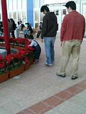 e0038197_022341.jpg