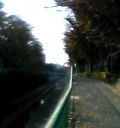 b0042607_11335077.jpg