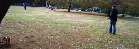 d0001509_10154991.jpg