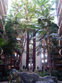 b0034912_1853328.jpg