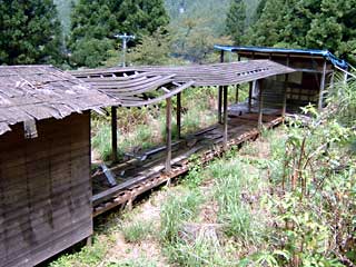 a0054016_19144730.jpg