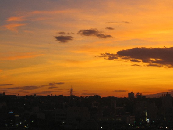 c0000816_22471619.jpg