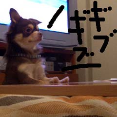 c0036617_9143179.jpg