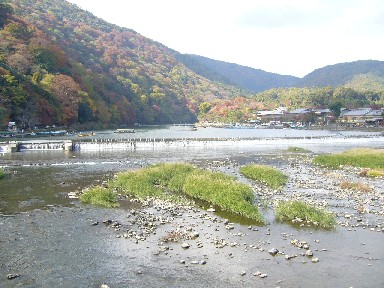 a0042724_11403658.jpg