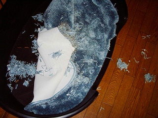 b0006329_21551216.jpg