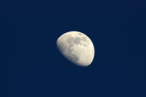 e0025030_1702462.jpg