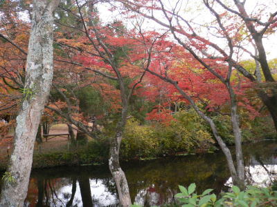 e0088531_0145870.jpg