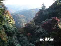 e0009838_14105581.jpg