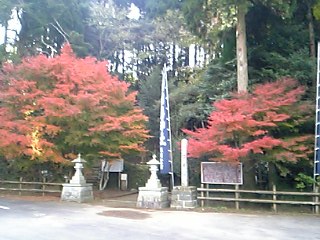 b0058840_1850824.jpg