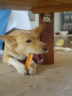 c0065643_20363537.jpg