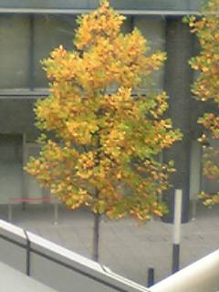 e0087443_10303346.jpg