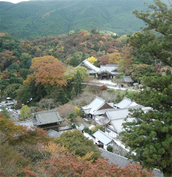 c0069552_22153047.jpg