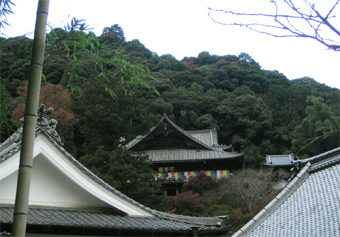 c0069552_22585632.jpg
