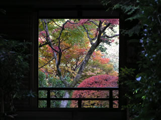 b0054956_1117528.jpg