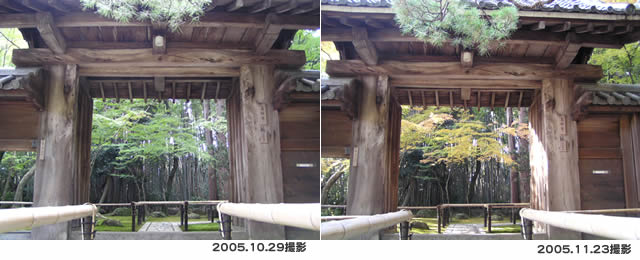b0054956_1173110.jpg