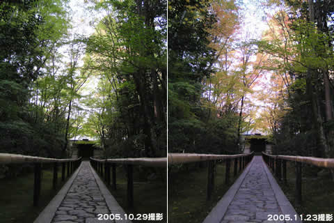 b0054956_1183384.jpg