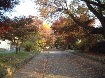 d0063263_13155545.jpg
