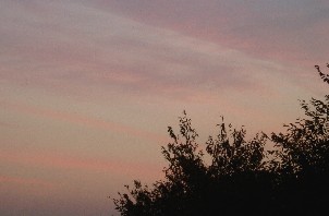 b0069169_19121817.jpg