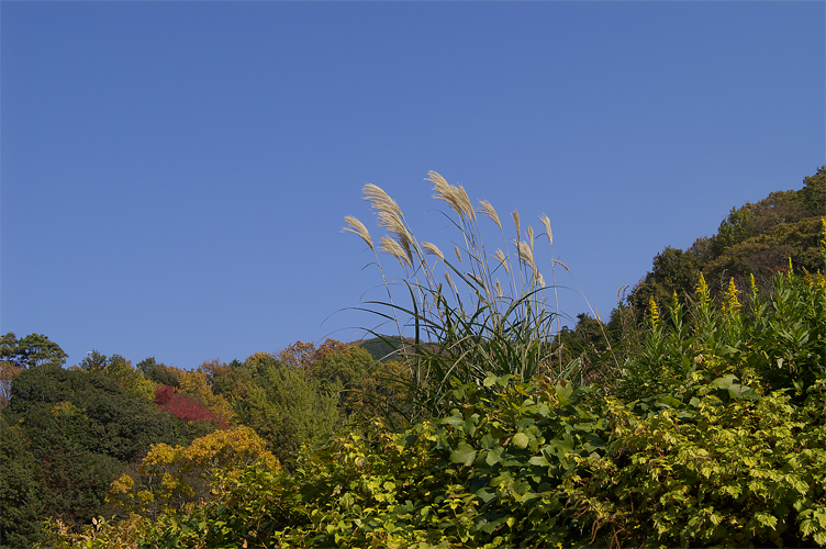 e0002371_036181.jpg