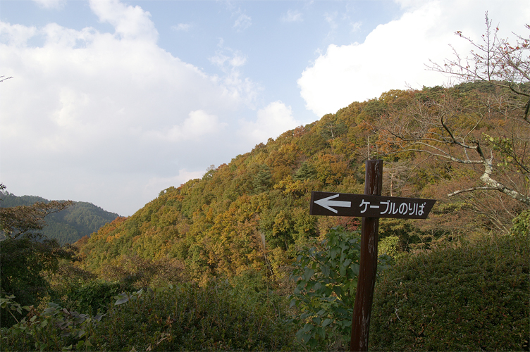 e0002371_1182543.jpg