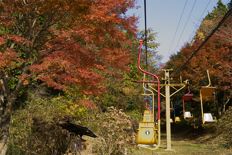 e0002371_1272999.jpg