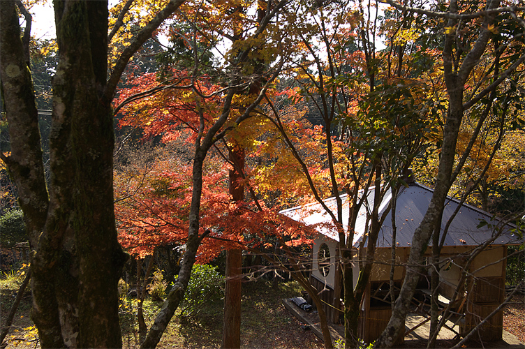 e0002371_131556.jpg