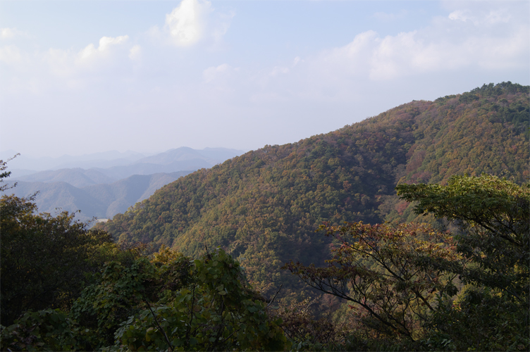 e0002371_8555725.jpg