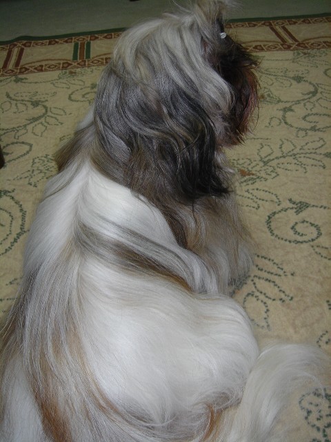 c0038983_23304613.jpg