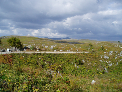 a0065787_20325786.jpg