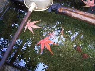 c0026594_2210937.jpg
