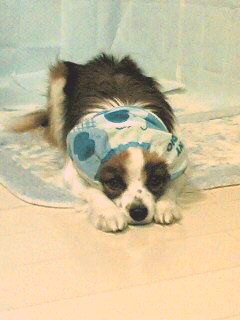 c0044199_22493623.jpg