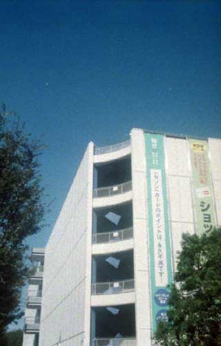 a0051400_1114591.jpg