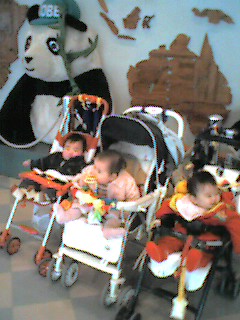 d0063903_2315381.jpg