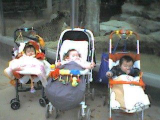 d0063903_23165564.jpg