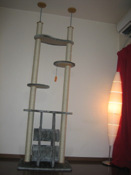c0004211_25208.jpg