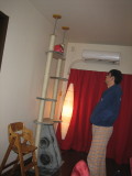 c0004211_262938.jpg