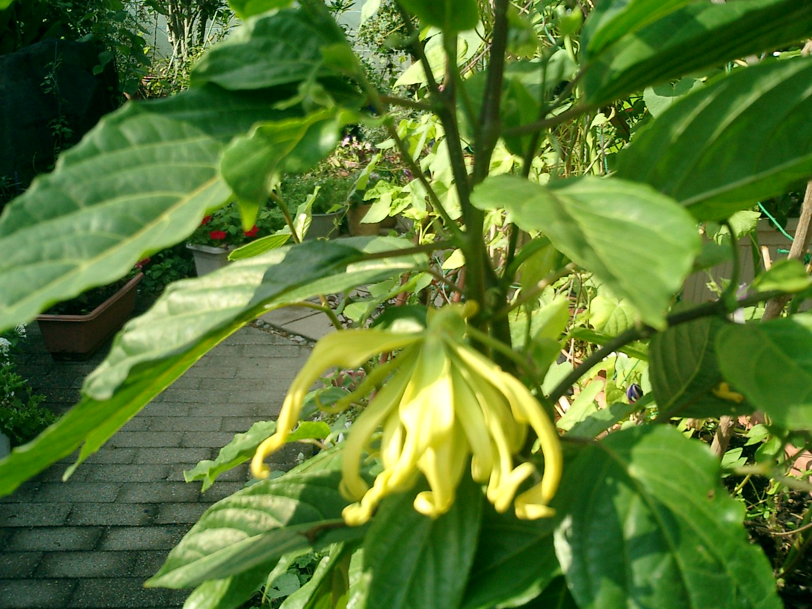 a0019212_2341691.jpg