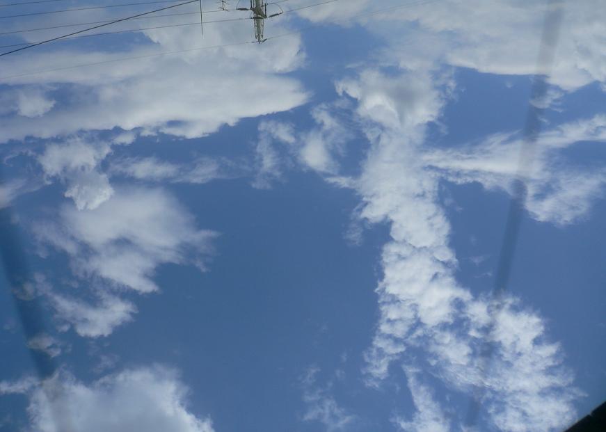 e0015113_2552626.jpg