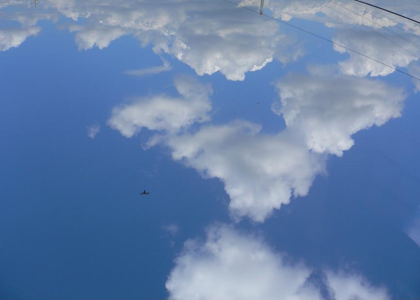e0015113_2562039.jpg