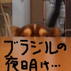c0036617_188969.jpg