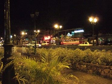b0049020_2023149.jpg