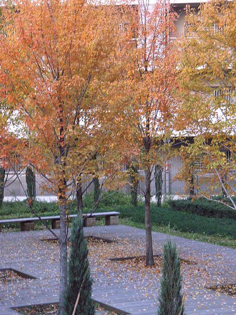 b0032921_12491243.jpg