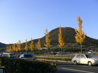 c0047221_1501219.jpg
