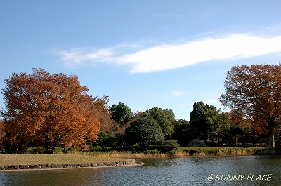 c0027027_2381036.jpg