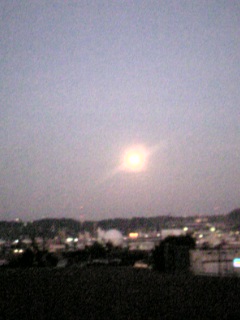 e0072533_13154328.jpg