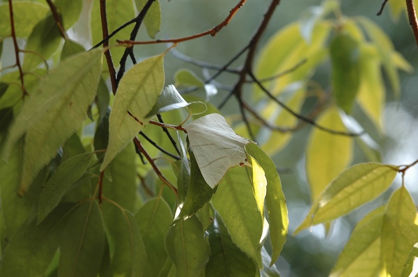 a0017634_724182.jpg