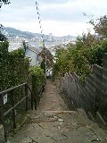 e0032541_1514551.jpg