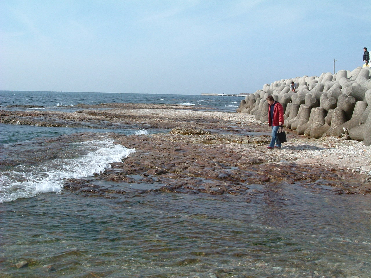 e0023751_8421685.jpg