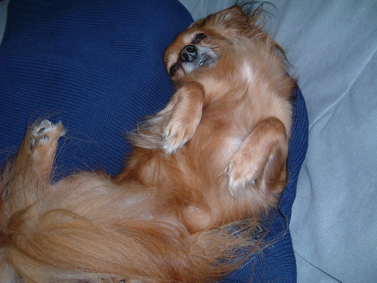 e0023751_8491759.jpg